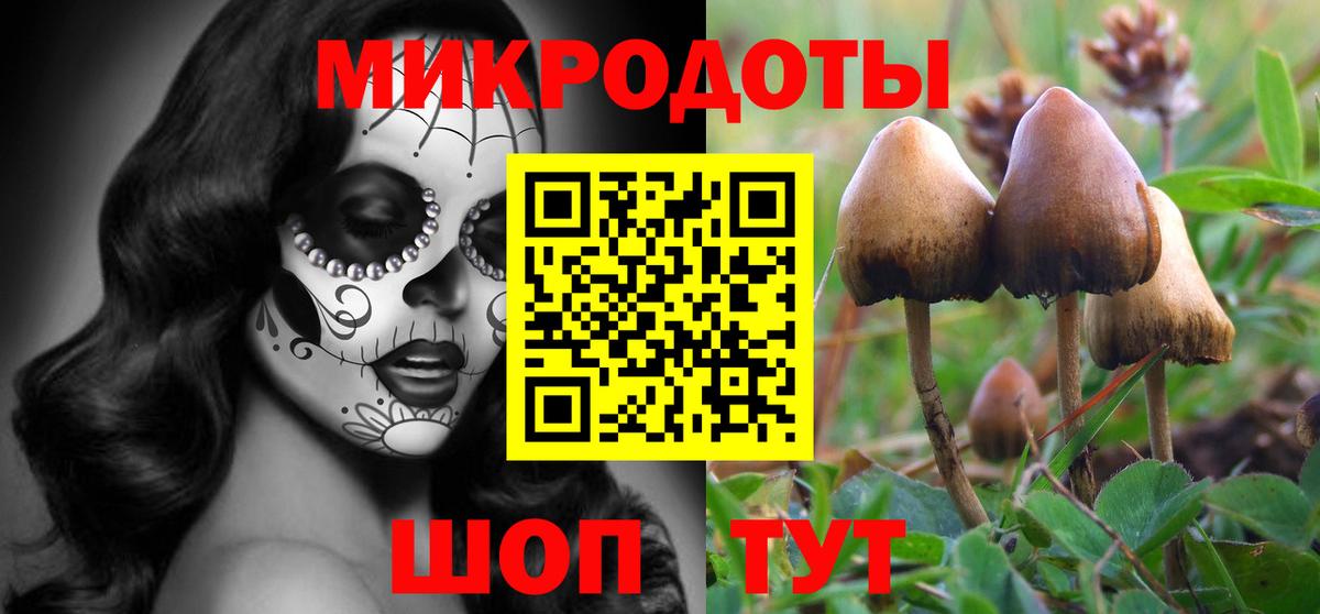 Псилоцибиновые грибы Psilocybe Усть-Илимск